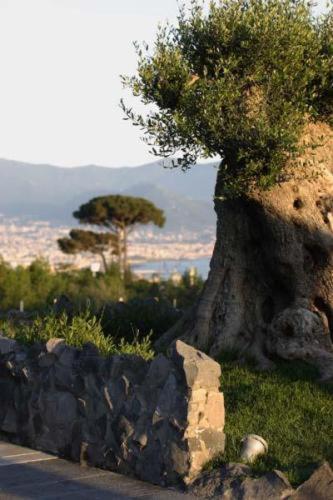 Palazzo Rosenthal Vesuview Hotel&resort Trecase